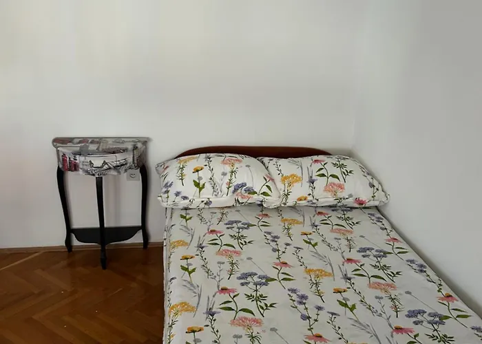 Bobi * Сплит